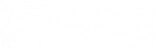 Sprigwich-Hometown-logo-wht-982x306